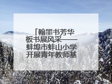 翰墨书芳华 板书展风采——蚌埠市蚌山小学开展青年教师基本功考核活动
