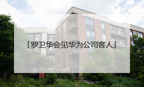 罗卫华会见华为公司客人