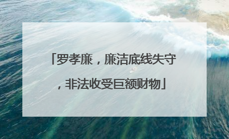 罗孝廉，廉洁底线失守，非法收受巨额财物