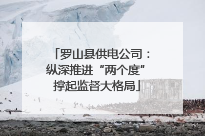 罗山县供电公司：纵深推进“两个度” 撑起监督大格局