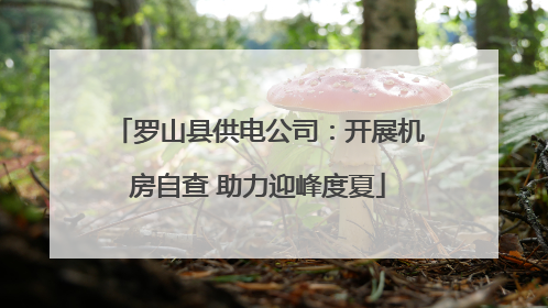 罗山县供电公司：开展机房自查 助力迎峰度夏