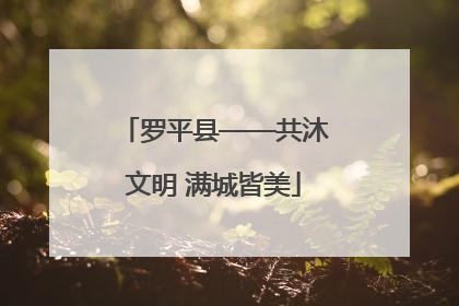 罗平县——共沐文明 满城皆美