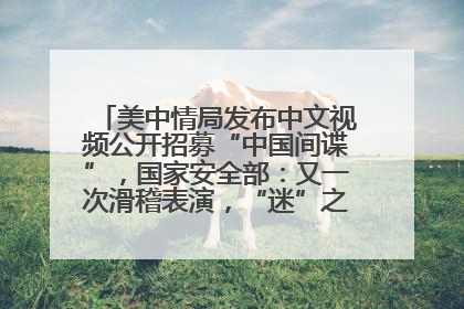 美中情局发布中文视频公开招募“中国间谍”，国家安全部：又一次滑稽表演，“迷”之操作沦为国际笑柄