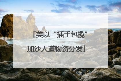 美以“插手包揽”加沙人道物资分发