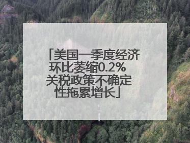 美国一季度经济环比萎缩0.2% 关税政策不确定性拖累增长