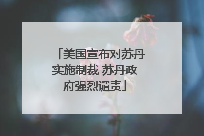 美国宣布对苏丹实施制裁 苏丹政府强烈谴责