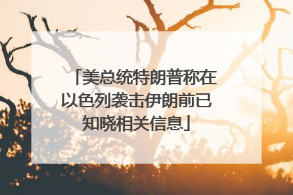 美总统特朗普称在以色列袭击伊朗前已知晓相关信息