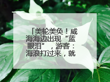 美轮美奂！威海海边出现“蓝眼泪”，游客：海浪打过来，就像星河一样