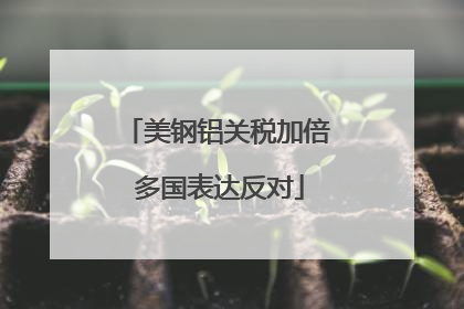 美钢铝关税加倍 多国表达反对