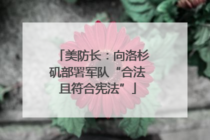 美防长：向洛杉矶部署军队“合法且符合宪法”