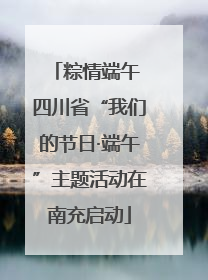 粽情端午 四川省“我们的节日·端午”主题活动在南充启动