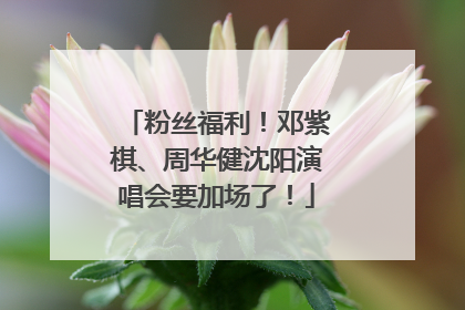 粉丝福利！邓紫棋、周华健沈阳演唱会要加场了！