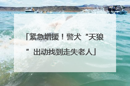 紧急增援！警犬“天狼”出动找到走失老人