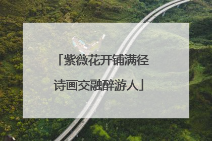 紫薇花开铺满径 诗画交融醉游人