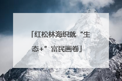 红松林海织就“生态+”富民画卷