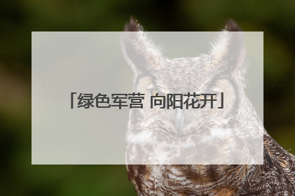 绿色军营 向阳花开