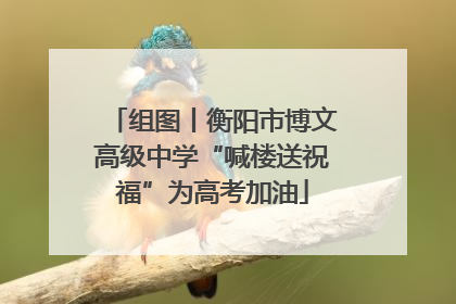 组图丨衡阳市博文高级中学“喊楼送祝福”为高考加油