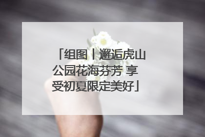 组图丨邂逅虎山公园花海芬芳 享受初夏限定美好