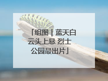 组图｜蓝天白云头上悬 烈士公园最出片