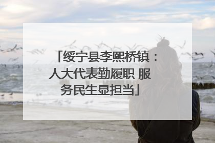 绥宁县李熙桥镇：人大代表勤履职 服务民生显担当