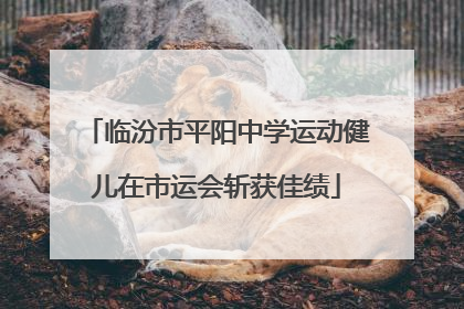临汾市平阳中学运动健儿在市运会斩获佳绩