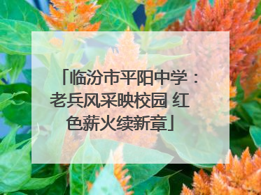 临汾市平阳中学：老兵风采映校园 红色薪火续新章