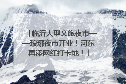临沂大型文旅夜市——琅琊夜市开业！河东再添网红打卡地！