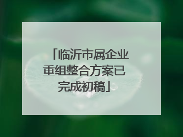 临沂市属企业重组整合方案已完成初稿