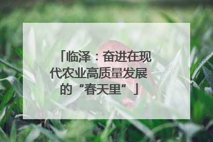 临泽：奋进在现代农业高质量发展的“春天里”