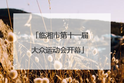 临湘市第十一届大众运动会开幕