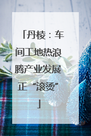 丹棱：车间工地热浪腾产业发展正“滚烫”