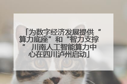 为数字经济发展提供“算力底座”和“智力支撑” 川南人工智能算力中心在四川泸州启动