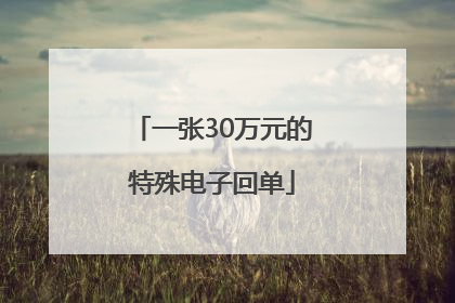 一张30万元的特殊电子回单