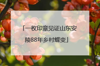一枚印章见证山东安陵88年乡村蝶变