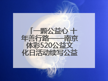 一颗公益心 十年善行路——南京体彩520公益文化日活动续写公益新篇章