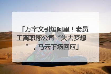 万字文引爆阿里！老员工离职称公司“失去梦想”，马云下场回应