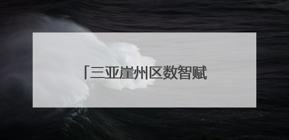 三亚崖州区数智赋能管住小微权力 “机器管公章”，构筑便民服务新生态