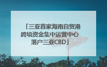 三亚首家海南自贸港跨境资金集中运营中心落户三亚CBD