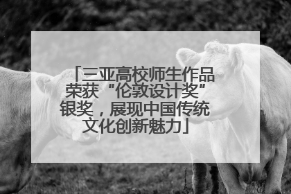 三亚高校师生作品荣获“伦敦设计奖”银奖，展现中国传统文化创新魅力