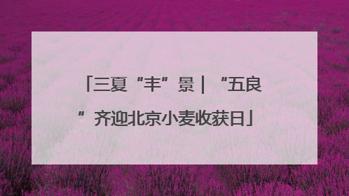 三夏“丰”景｜“五良”齐迎北京小麦收获日