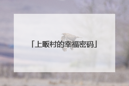 上畈村的幸福密码