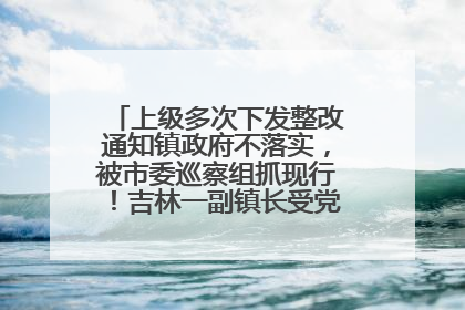 上级多次下发整改通知镇政府不落实，被市委巡察组抓现行！吉林一副镇长受党内警告处分