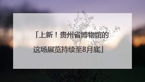 上新！贵州省博物馆的这场展览持续至8月底
