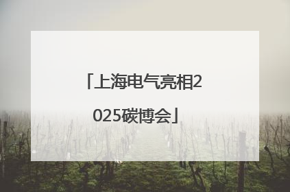 上海电气亮相2025碳博会