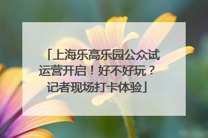 上海乐高乐园公众试运营开启！好不好玩？记者现场打卡体验