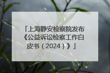 上海静安检察院发布《公益诉讼检察工作白皮书（2024）》
