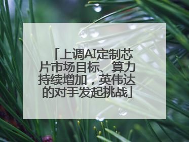 上调AI定制芯片市场目标、算力持续增加，英伟达的对手发起挑战