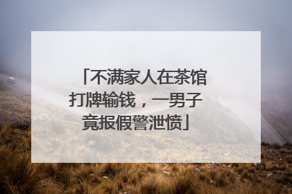 不满家人在茶馆打牌输钱，一男子竟报假警泄愤