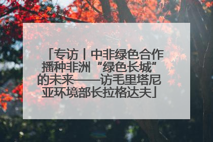 专访丨中非绿色合作播种非洲“绿色长城”的未来——访毛里塔尼亚环境部长拉格达夫