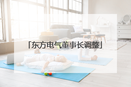 东方电气董事长调整